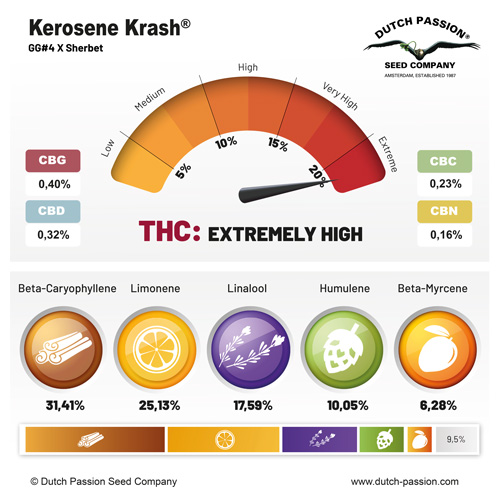 Kerosene Krash terpenes